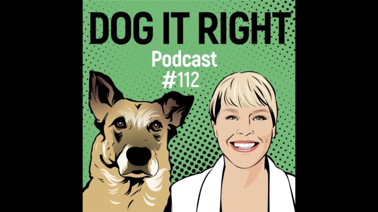 Effektive Trainingstechniken f&uuml;r Hunde