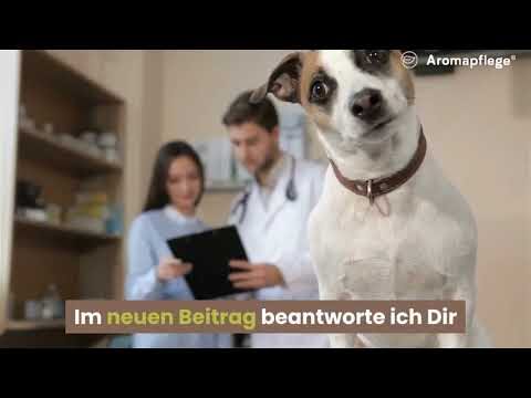 Nat&uuml;rliche Heilmittel f&uuml;r Tiere: Die besten Angebote