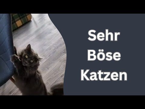 Erinnerungen f&uuml;r Tierarzttermine nach der Adoption