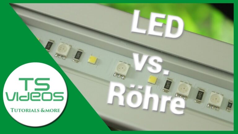 Vorteile der LED-Beleuchtung im Aquarium