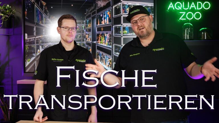 Schneller Tiertransport-Service in Ihrer N&auml;he