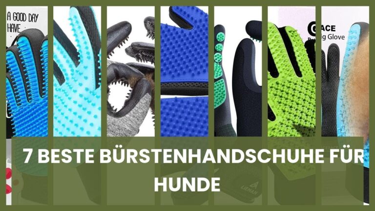Hochwertige B&uuml;rsten f&uuml;r die Haustierfellpflege kaufen