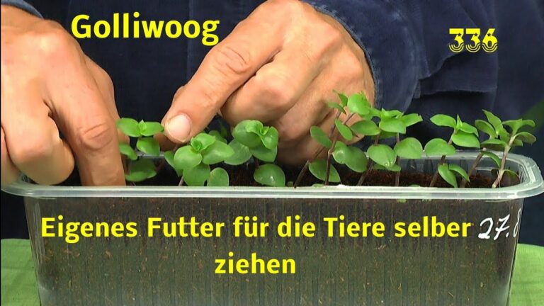 Pflegeanleitungen f&uuml;r exotische Tiere: Ein umfassender Leitfaden