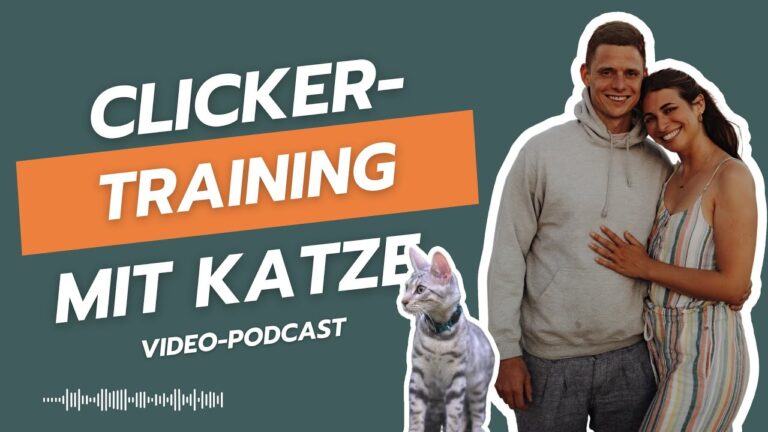Fortgeschrittene Clicker-Training-Techniken f&uuml;r effektive Tiererziehung