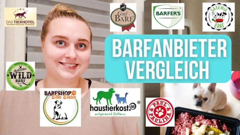 Hundefutter Online Bestellen: Die besten Tipps und Angebote
