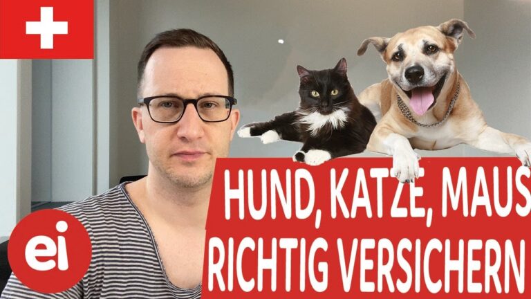 Die beste Haustierversicherung f&uuml;r Hunde: Ein umfassender Leitfaden