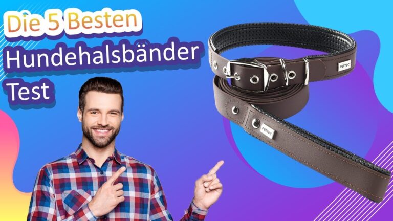 Der ultimative Vergleich von Lederhundehalsb&auml;ndern