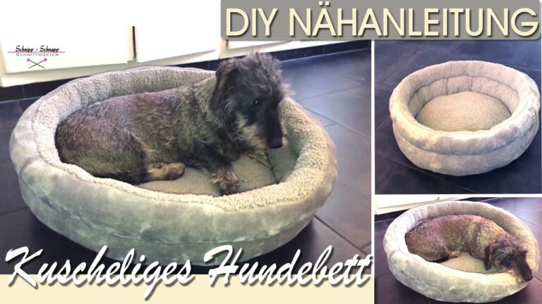 Das ideale Haustierbett f&uuml;r kleine Hunde: Komfort und Stil vereint