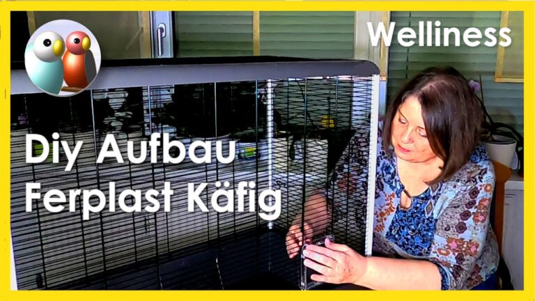 Optimale Anleitungen zur Montage von Vogelspielzeug