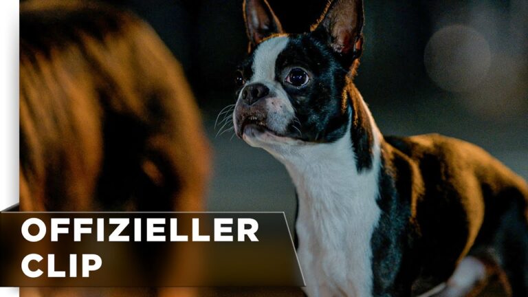 Gemeinschaftsveranstaltungen f&uuml;r Hundebesitzer