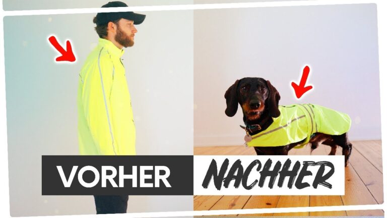 Styling-Tipps f&uuml;r Hundem&auml;ntel: So setzten Sie Trends f&uuml;r Ihren Vierbeiner