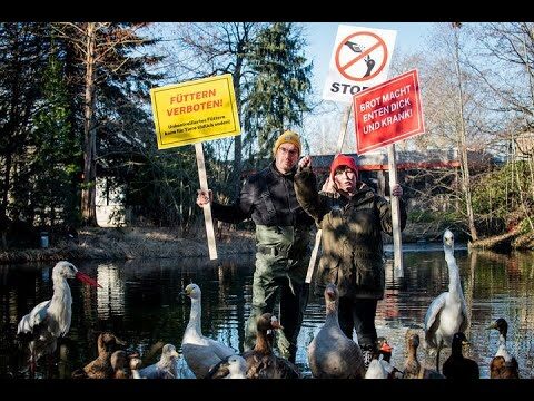 Erfahrungsberichte zu Wildtierschutzprojekten