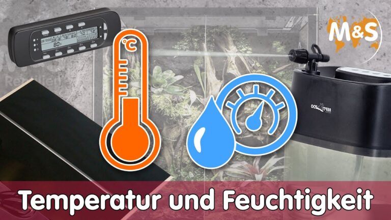 Die Vorteile eines Hygrometers f&uuml;r Reptilien