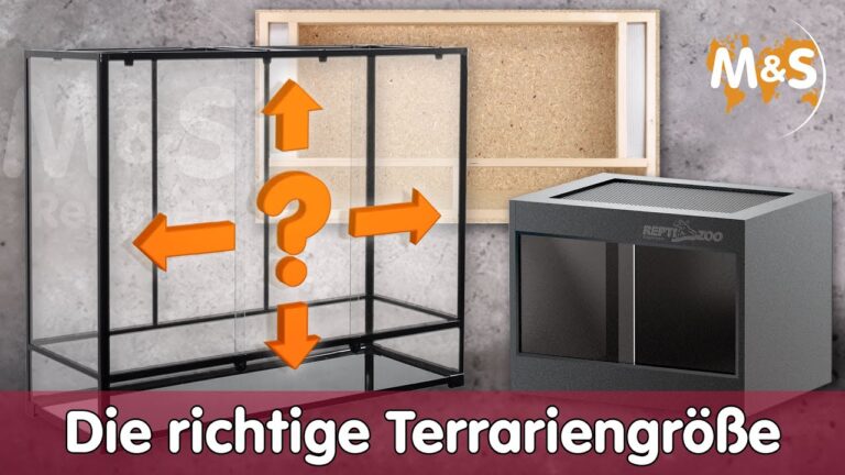 Vergleich von Terrarien f&uuml;r Reptilien: Die besten Optionen im &Uuml;berblick