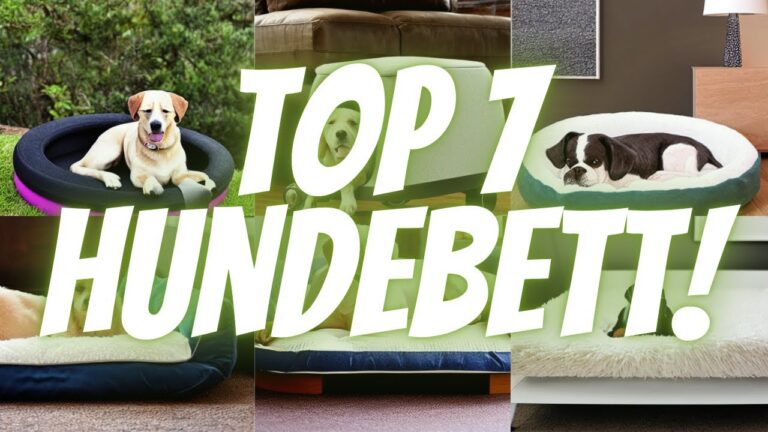 Katzenbett Testberichte: Die besten Modelle im Vergleich