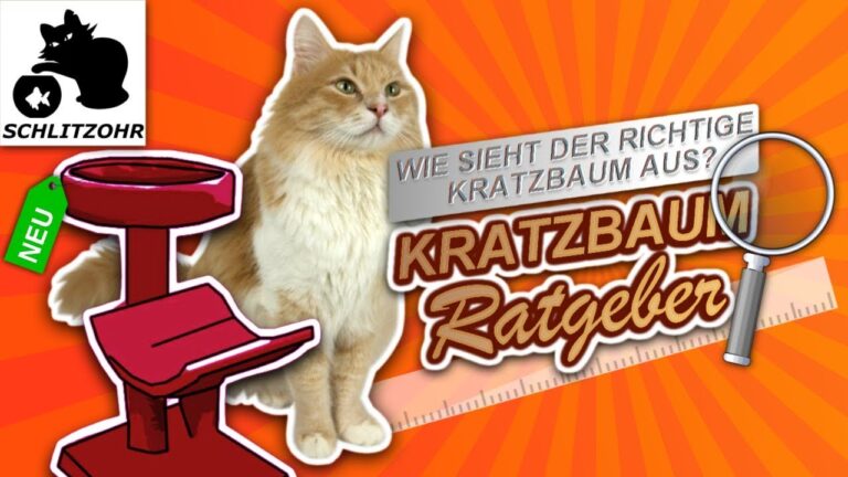 Die Vorteile eines gro&szlig;en Kratzbaums f&uuml;r Katzen