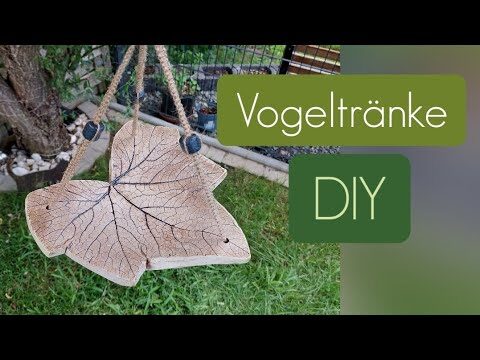 Vogelbad: Zubeh&ouml;r und Pflege leicht gemacht