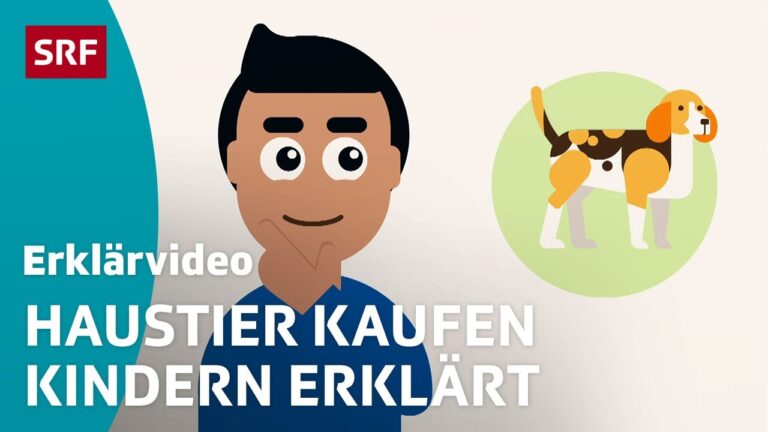 Effektives Training: Haustier Zubeh&ouml;r g&uuml;nstig kaufen
