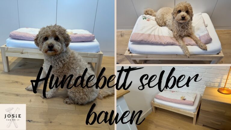 Die besten Haustierbetten f&uuml;r gro&szlig;e Hunde