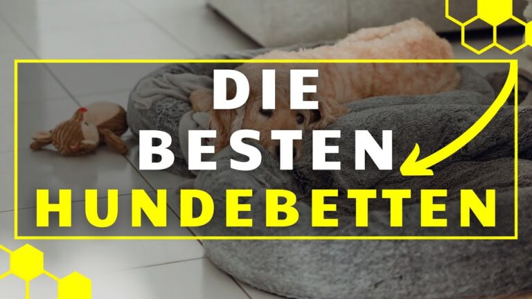 Kundenbewertungen zu orthop&auml;dischen Hundebetten: Was Sie wissen sollten
