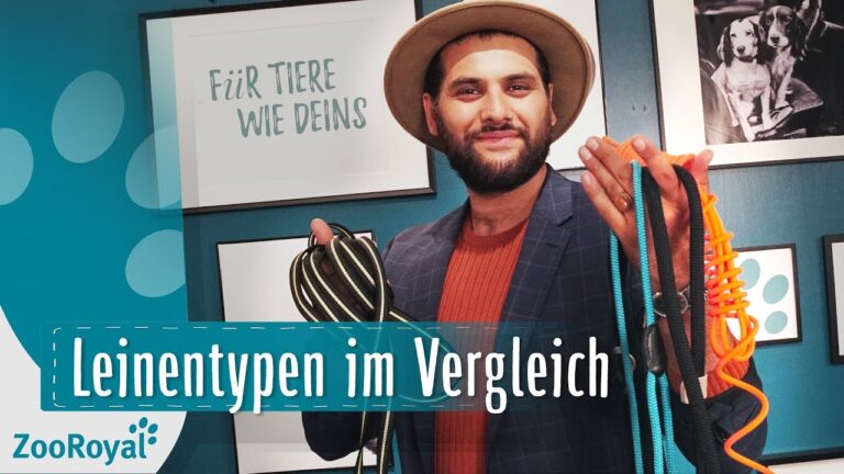 Pflegehinweise f&uuml;r Hundeleinen und Halsb&auml;nder