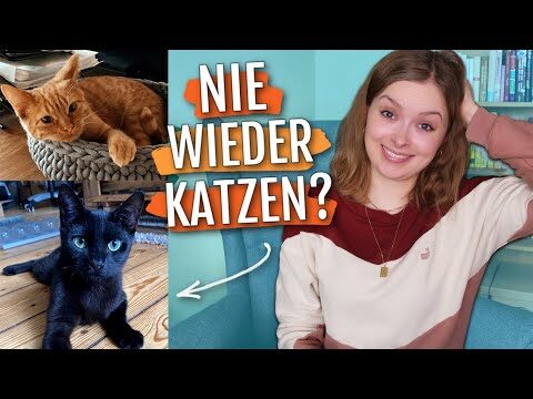 Pflegehinweise f&uuml;r Adoptierte Tiere: Ein Leitfaden