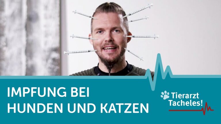 Optimale Bewertung von Tierarztpraxen f&uuml;r Impfungen