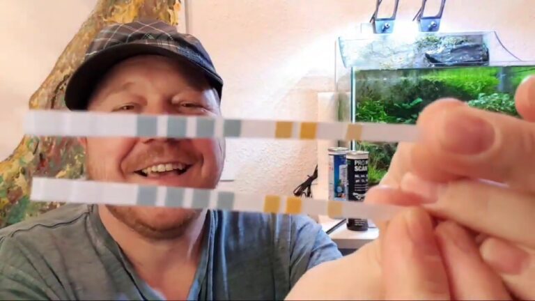 Aquariumfilter: Testberichte und Vergleiche im &Uuml;berblick