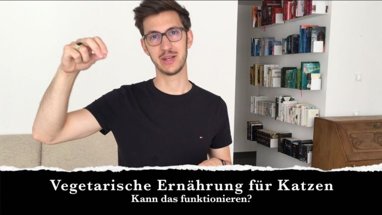 Vegane Ern&auml;hrung f&uuml;r Katzen: Gesund und Nachhaltig