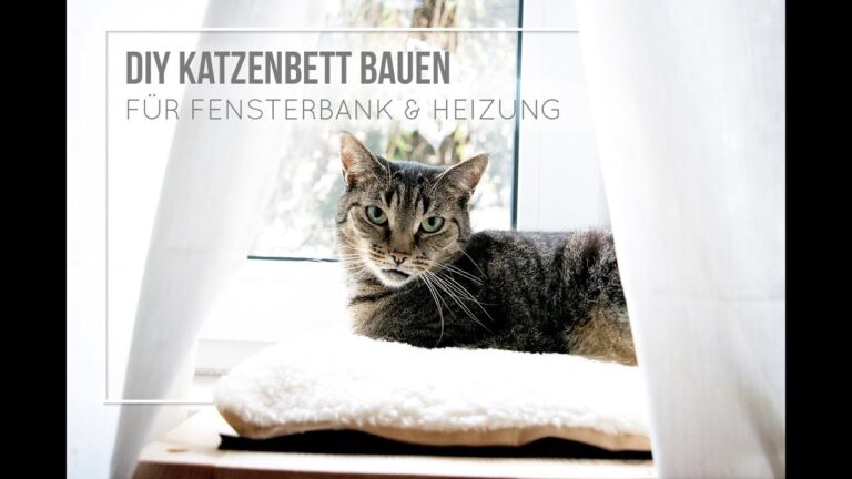 Katzenliege f&uuml;r kleine R&auml;ume: Platzsparende L&ouml;sungen f&uuml;r Ihr Zuhause