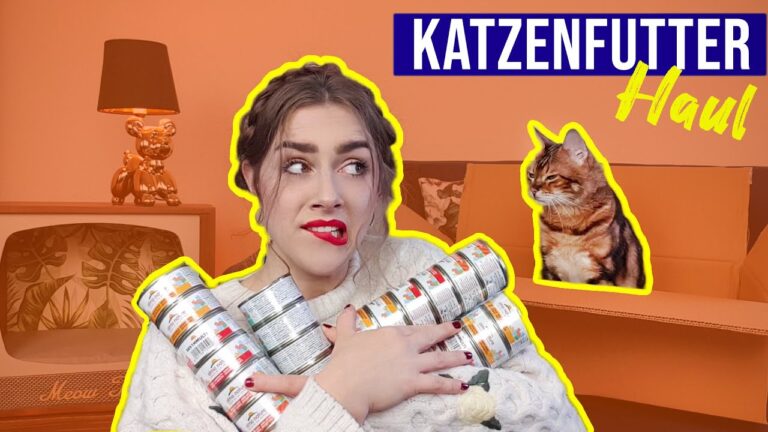 Schnelle Lieferung von Katzenfutter: So bestellen Sie richtig