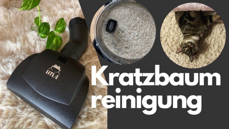 Pflege und Reinigung von Kratzb&auml;umen: Tipps f&uuml;r ein sauberes Zuhause