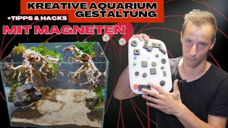 Top Aquarium Dekorationen im Vergleich