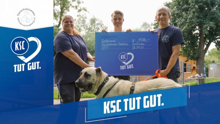 Tierschutzorganisationen in Ihrer N&auml;he finden