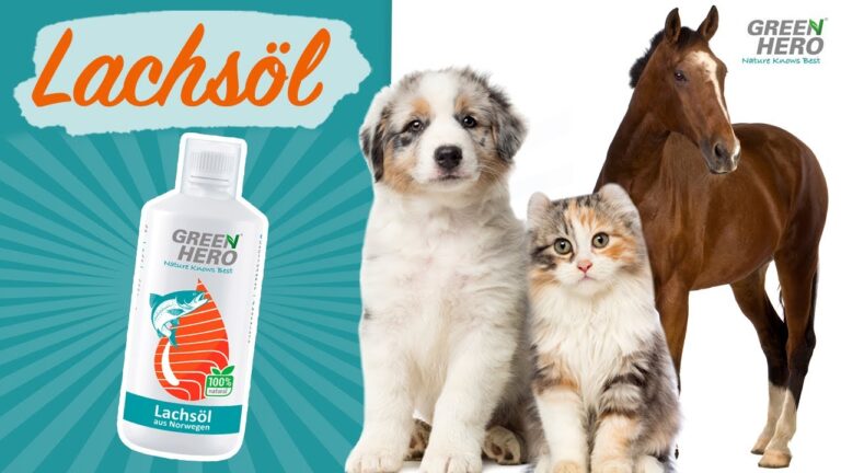 Tipps f&uuml;r eine optimale Haustiergesundheit