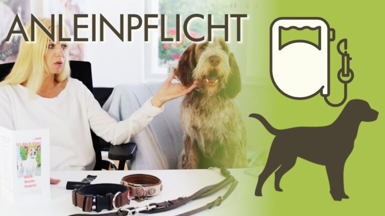 Optimale Ern&auml;hrung f&uuml;r Haustiere: Ein umfassender Ratgeber