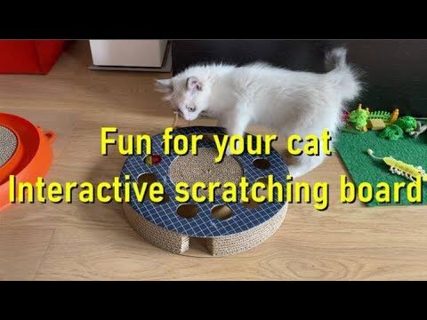 Bewertungen zu interaktivem Katzenspielzeug: Ein umfassender Leitfaden