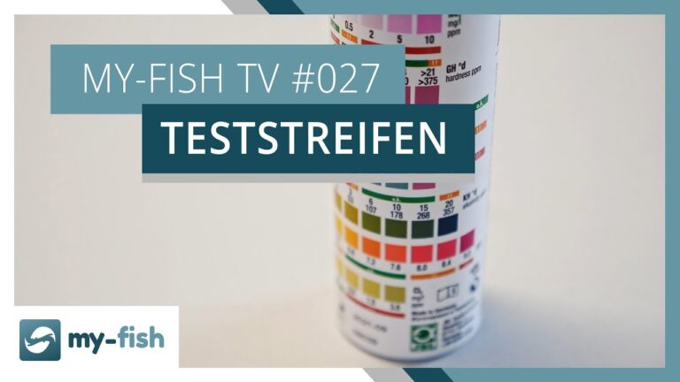 Wassertests f&uuml;r Aquarien: Richtig Durchf&uuml;hren und Optimieren