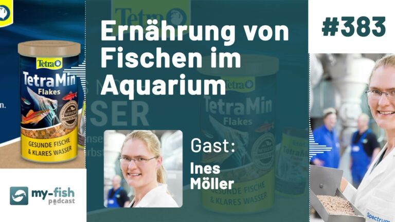 Tipps zur Auswahl des besten Fischfutters