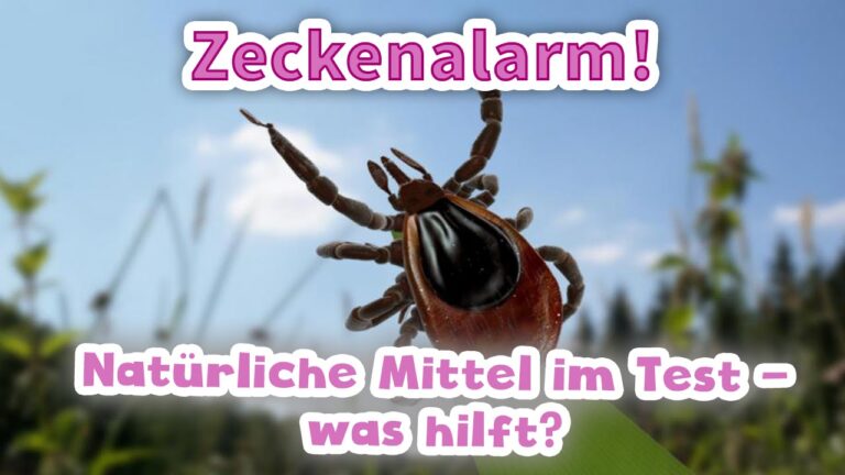 Hochwertige Floh- und Zeckenmittel f&uuml;r Haustiere kaufen