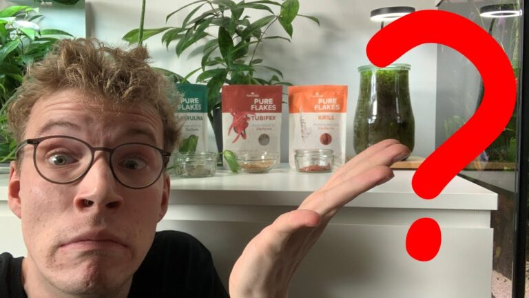 Bio Fischfutter Kaufen: Tipps und Empfehlungen