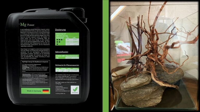 Optimales Preis-Leistungs-Verh&auml;ltnis bei Terrarium-Produkten