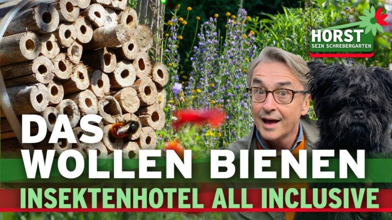 Erfahrungen mit Nistmaterialien: Ein Vergleich der besten Optionen