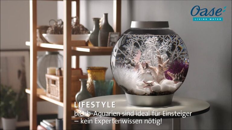 Bewertungen von Aquarien-Dekorationsartikeln