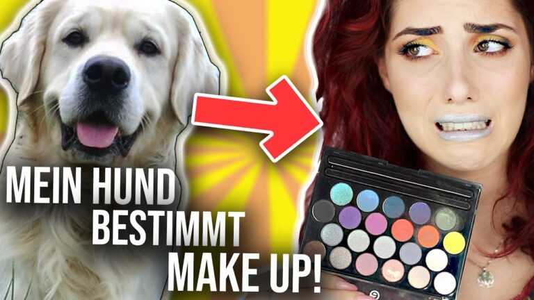 Hundehautpflege: Produkte im Vergleich