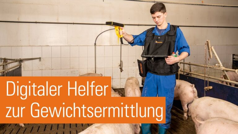 Optimale Tipps f&uuml;r die Vorbereitung auf den Tiertransport
