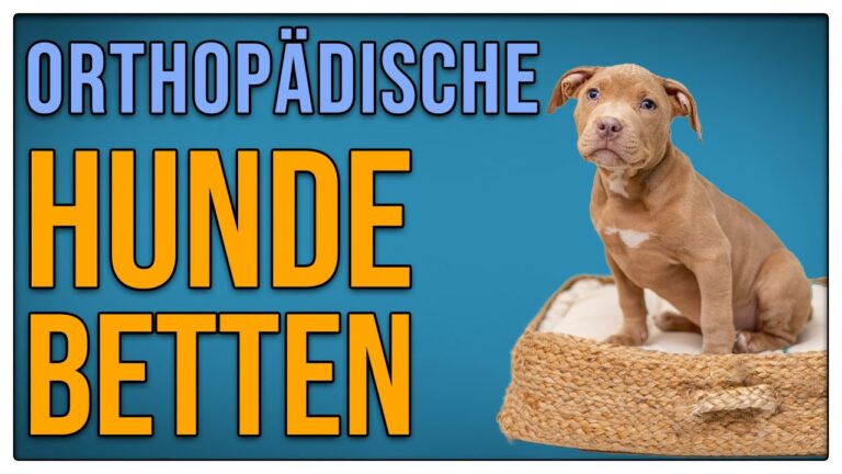 Optimale Preise und Angebote f&uuml;r Hundebetten online