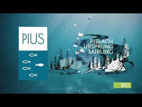 Tierfreundliche Lebensweise F&ouml;rdern: Praktische Tipps f&uuml;r Nachhaltigkeit