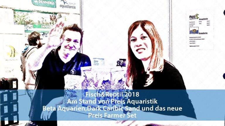 Optimale Angebote f&uuml;r Aquaristik-Sets