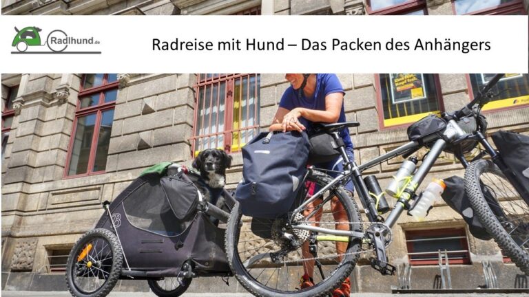 Sichere Zahlungsl&ouml;sungen f&uuml;r Tieranh&auml;nger